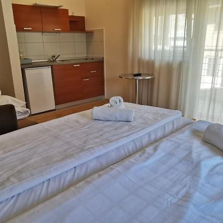 Apartments Milsa Lux Sokobanja Buitenkant foto
