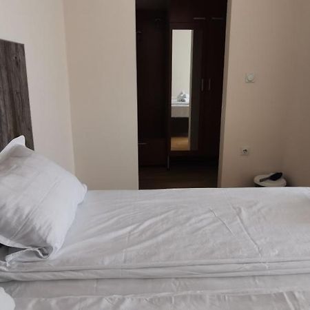 Apartments Milsa Lux Sokobanja Buitenkant foto